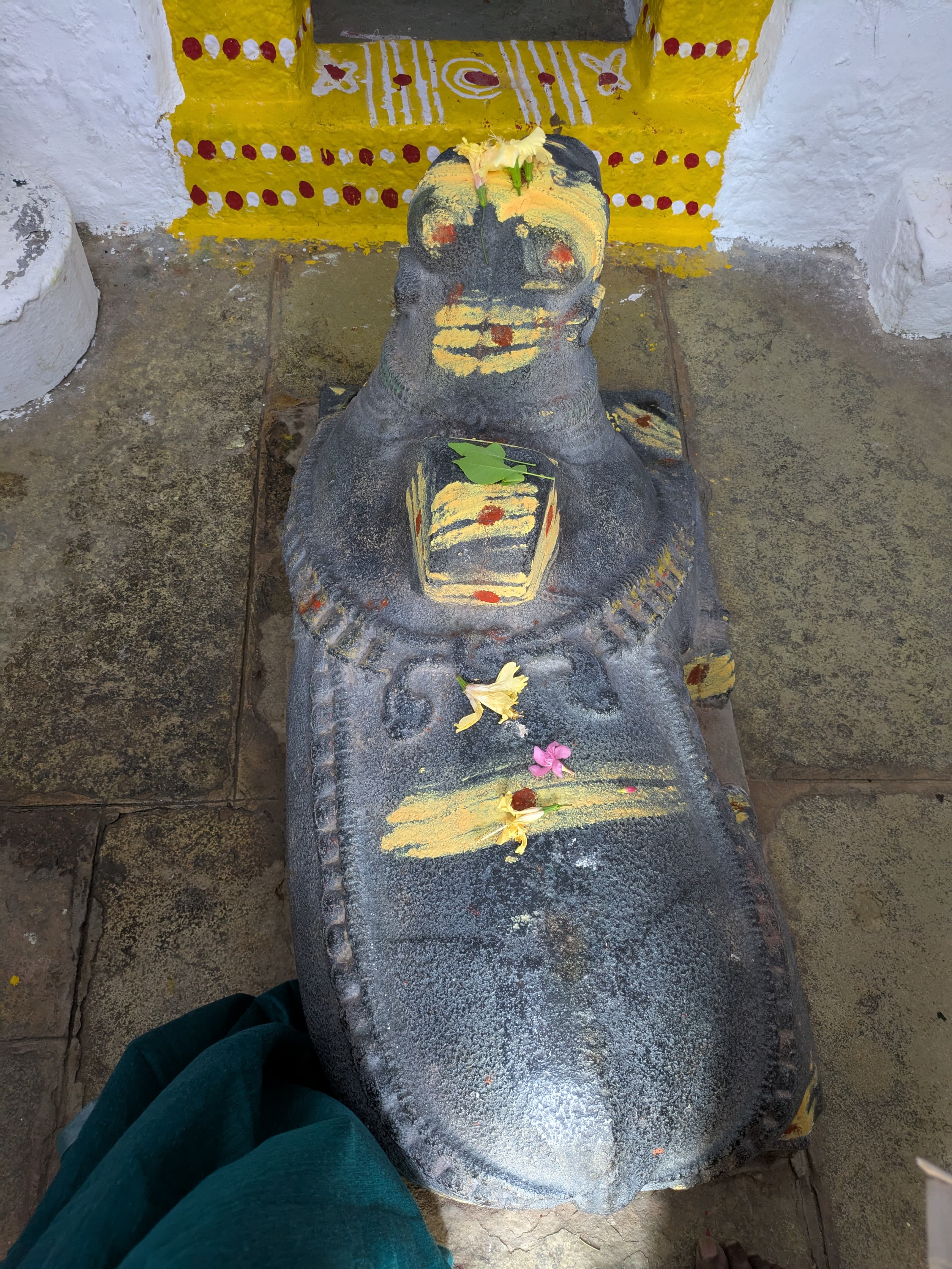 Nandi in front of Lord Shiva in Shiva temple ICRISAT.jpeg